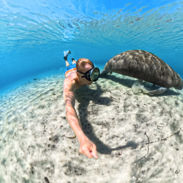 Insta360-X5-Invisible-Dive-Case